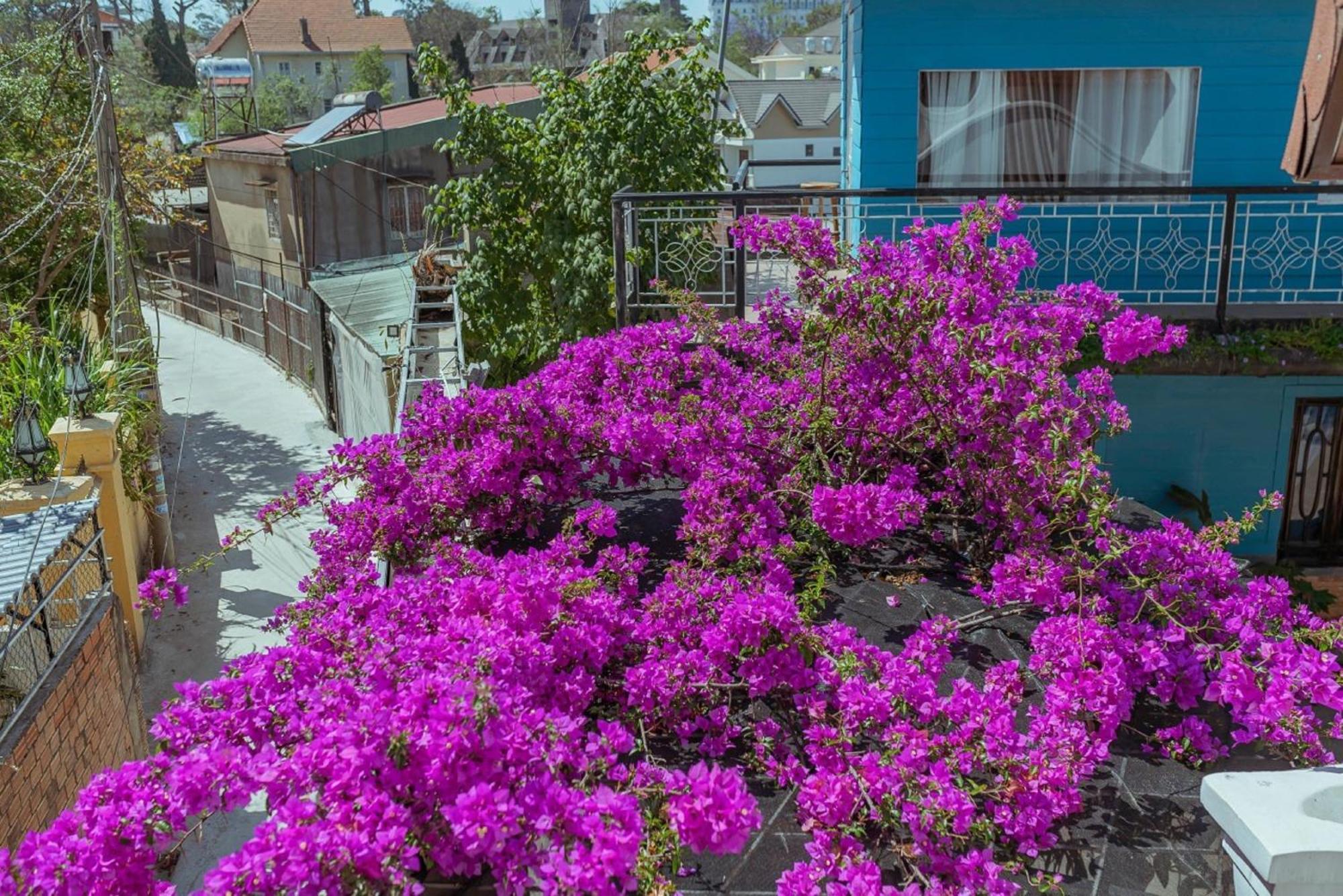 Mhome Dalat Exteriér fotografie